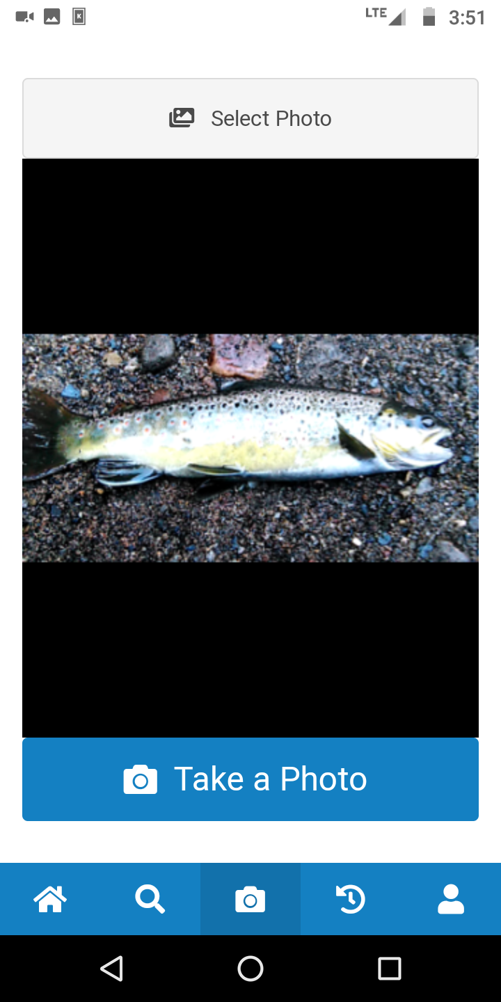 identifish gallery image
