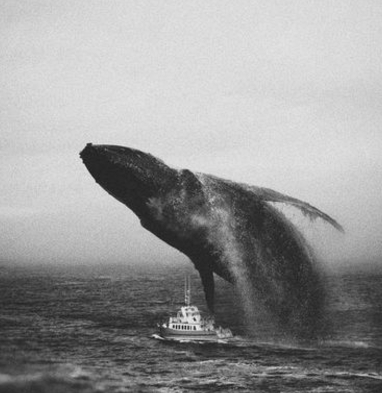 Realtime Crypto Arbitrage Opportunities gallery image