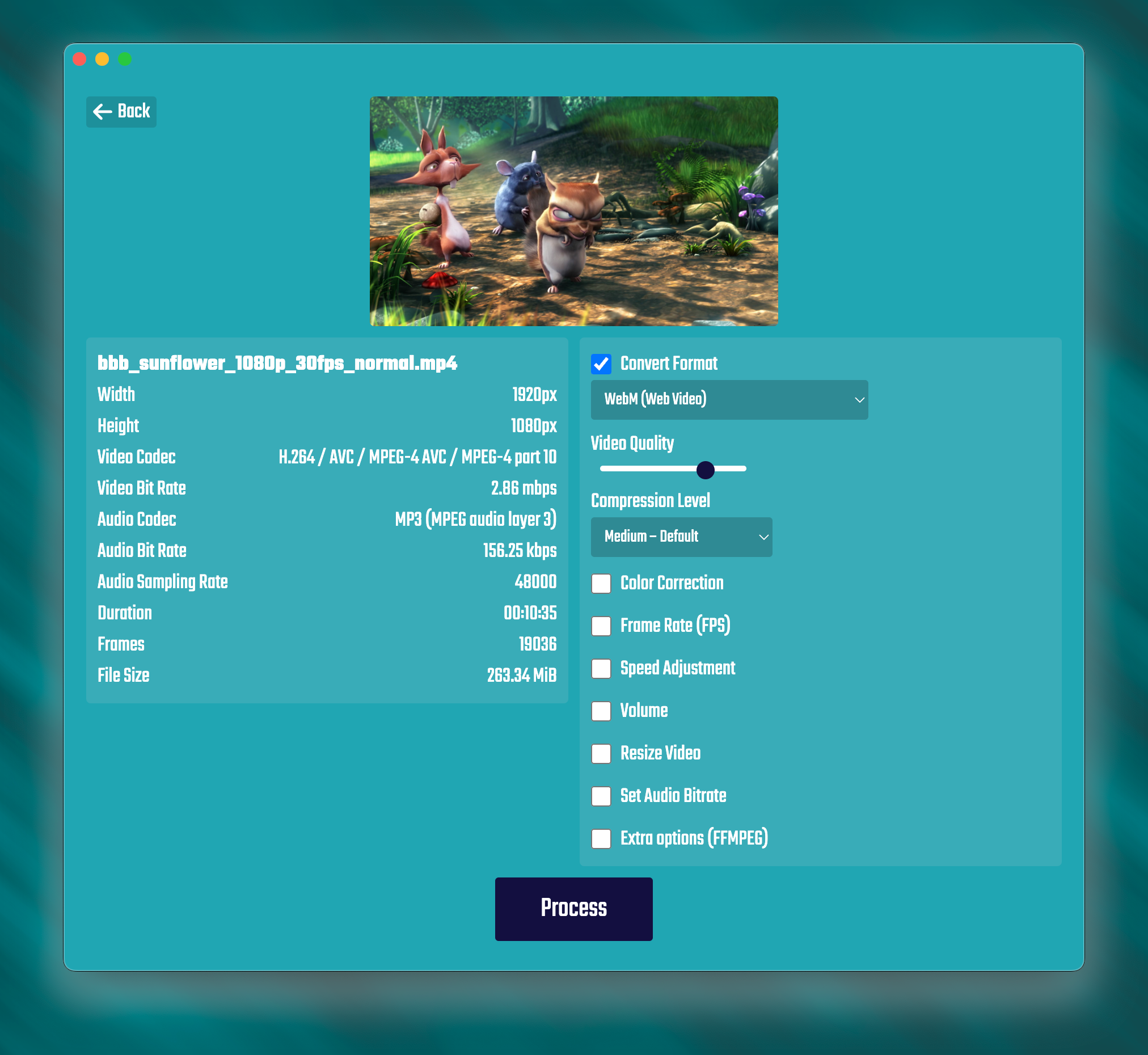 Ffmpeg gui media 1