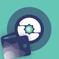 Insights Network