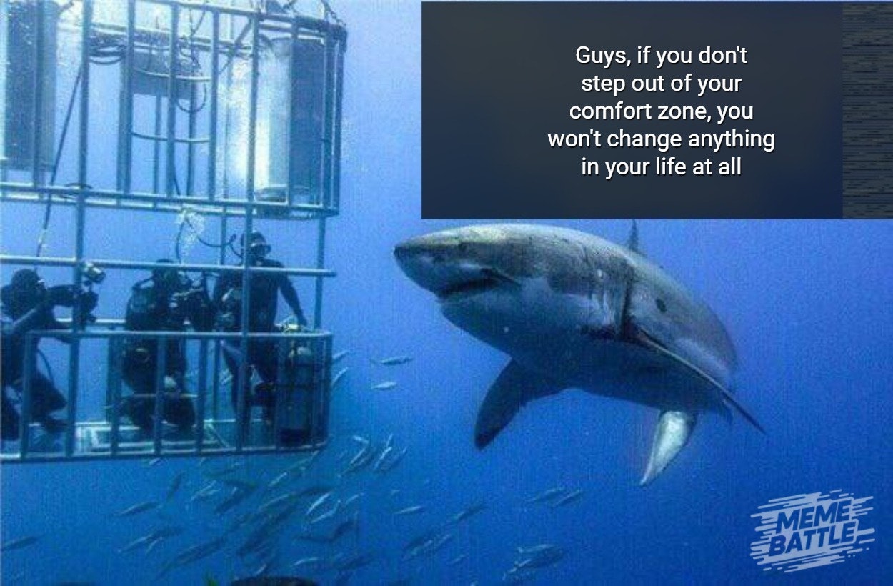 Meme Battle Com gallery image