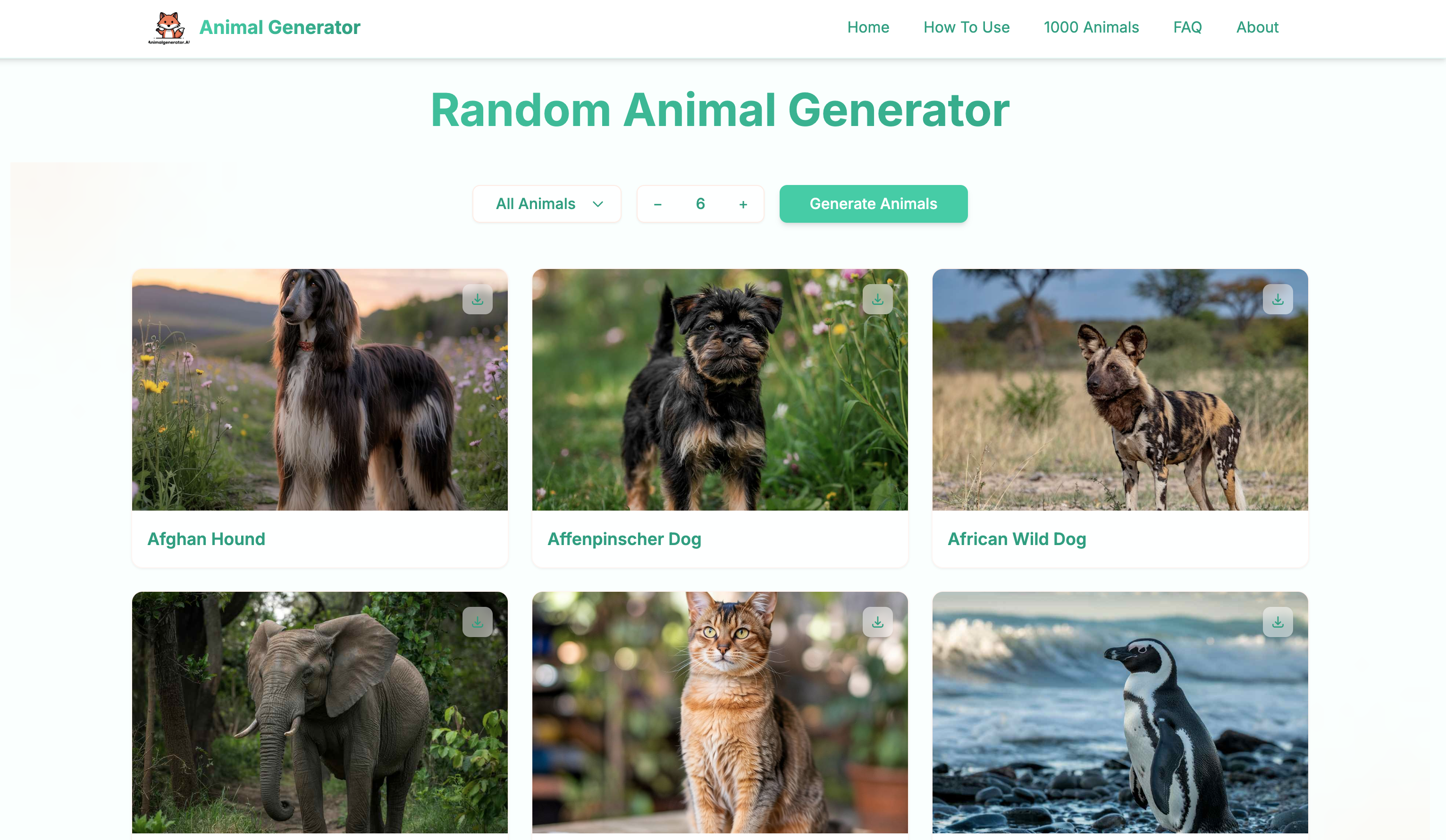 Random Animal Generator gallery image