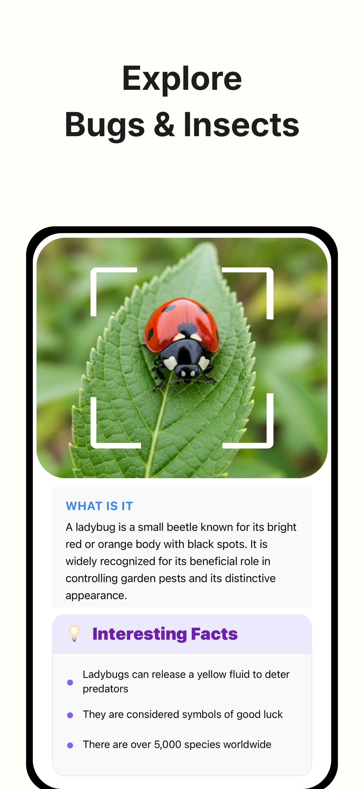 LiveScan AI gallery image