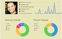 Github Profile Visualizer media 2