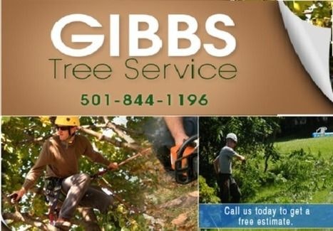 Tree Trimming and Removal 