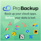 Pro Backup