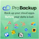 Pro Backup