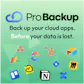 Pro Backup