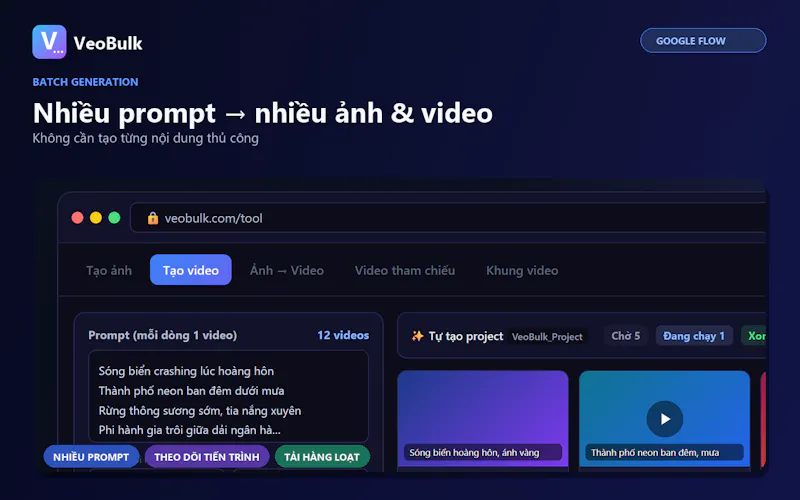 VeoBulk screenshot 1
