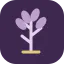 Lavender Essential Oil Benefits