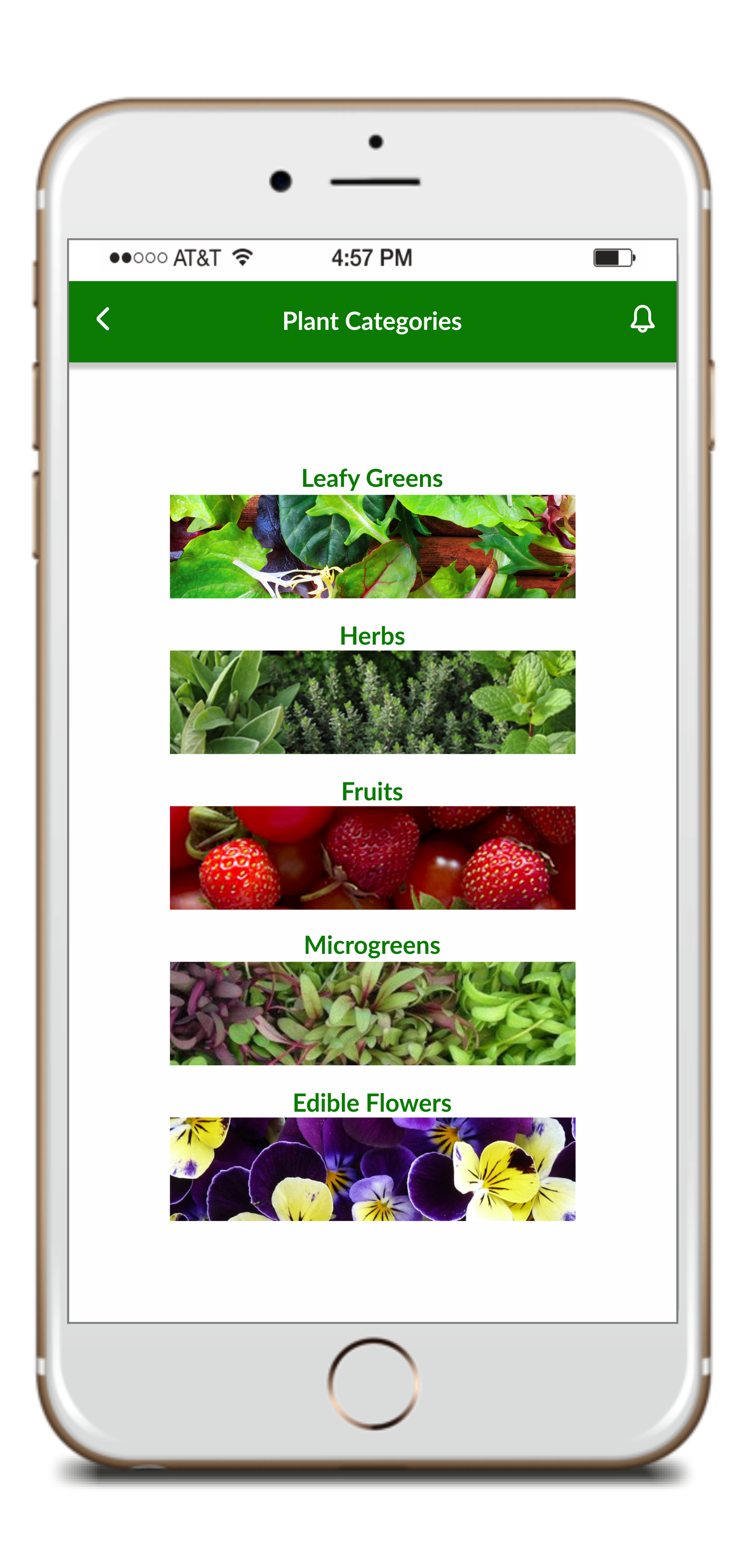 CityCrop gallery image