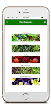 CityCrop gallery image
