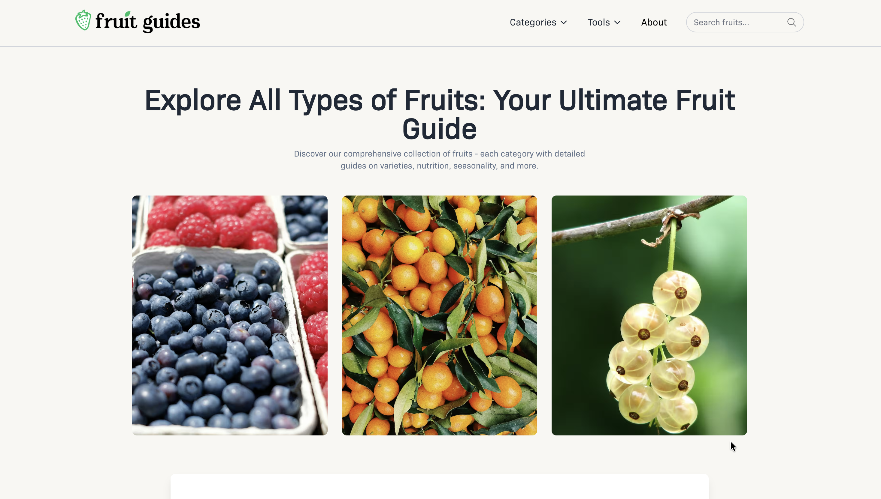 Fruit Guides - Main screenshot showing features and interface