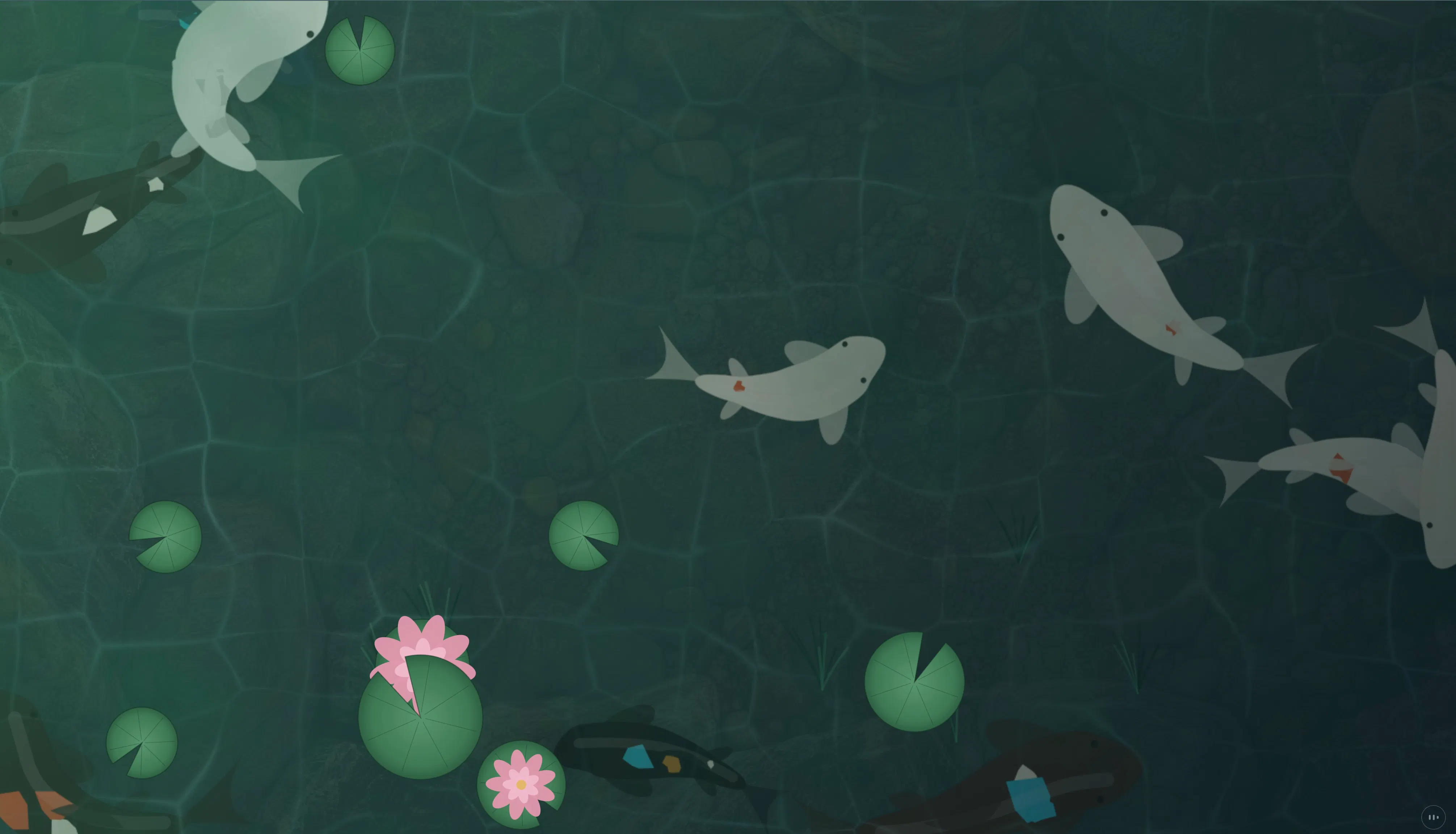 koi.rest gallery image