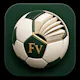 Football Vocabulary