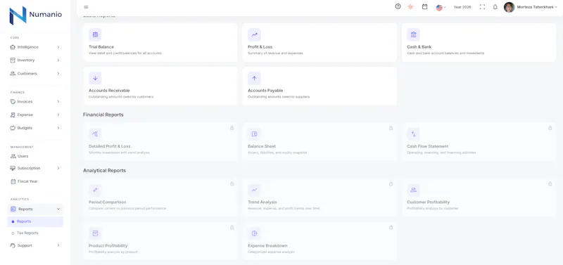 AI Accounting Software - Numanio screenshot 3