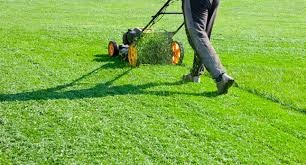 Lawn Care Services gallery image