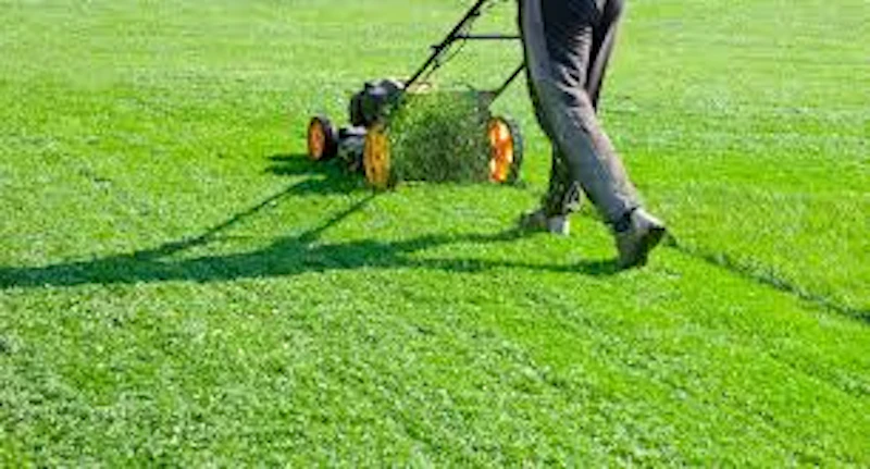 Lawn Care Services screenshot 2