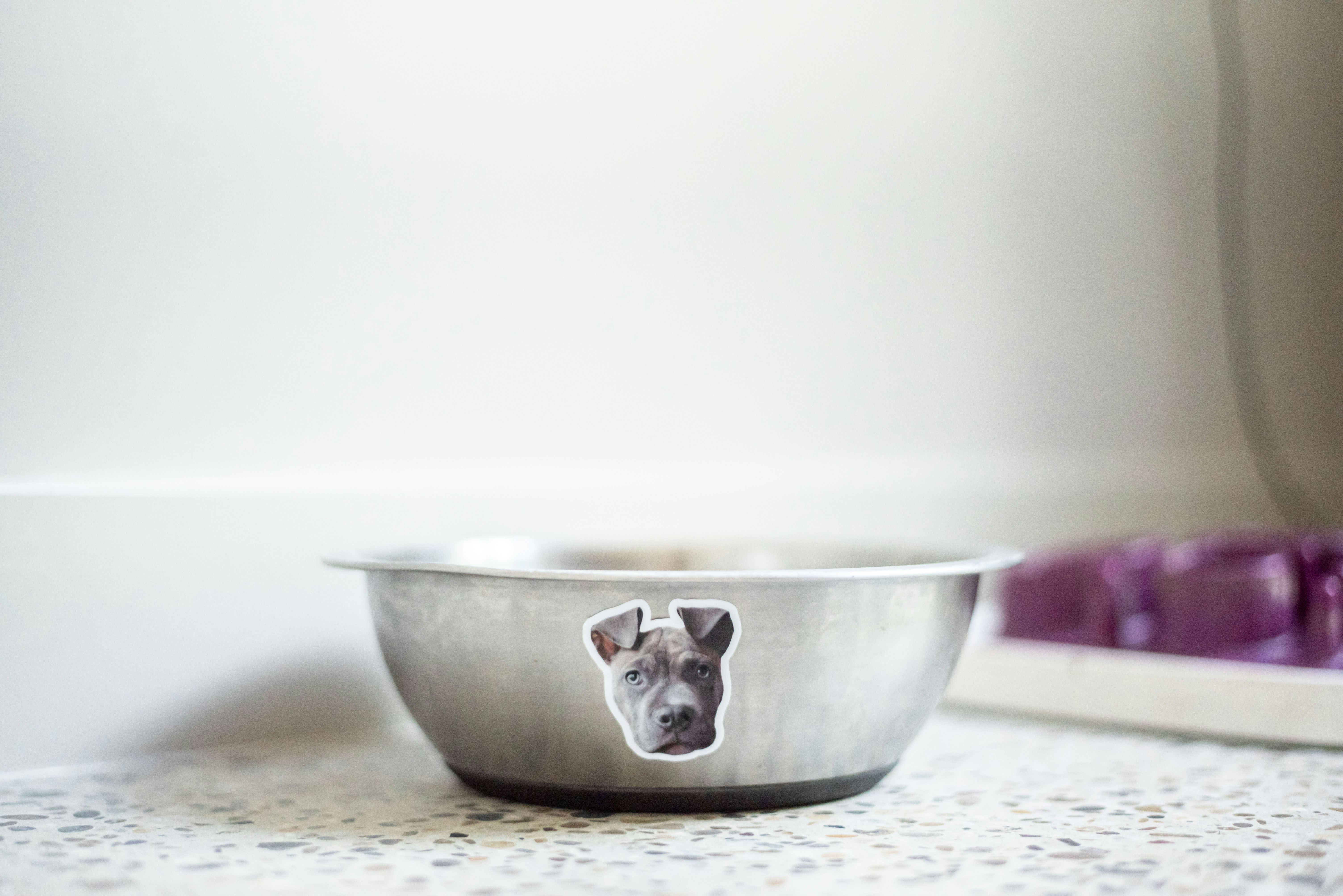 Sticker Pet gallery image