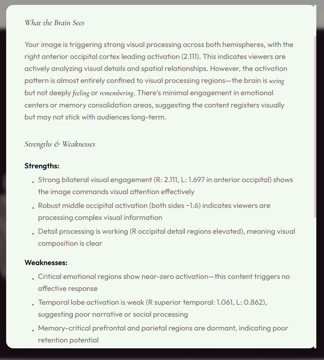 BrainLens gallery image