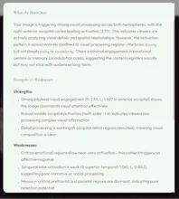 BrainLens gallery image