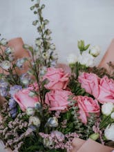 Delphinium Dreams gallery image