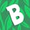 App for Bulbapedia - BulbaGo