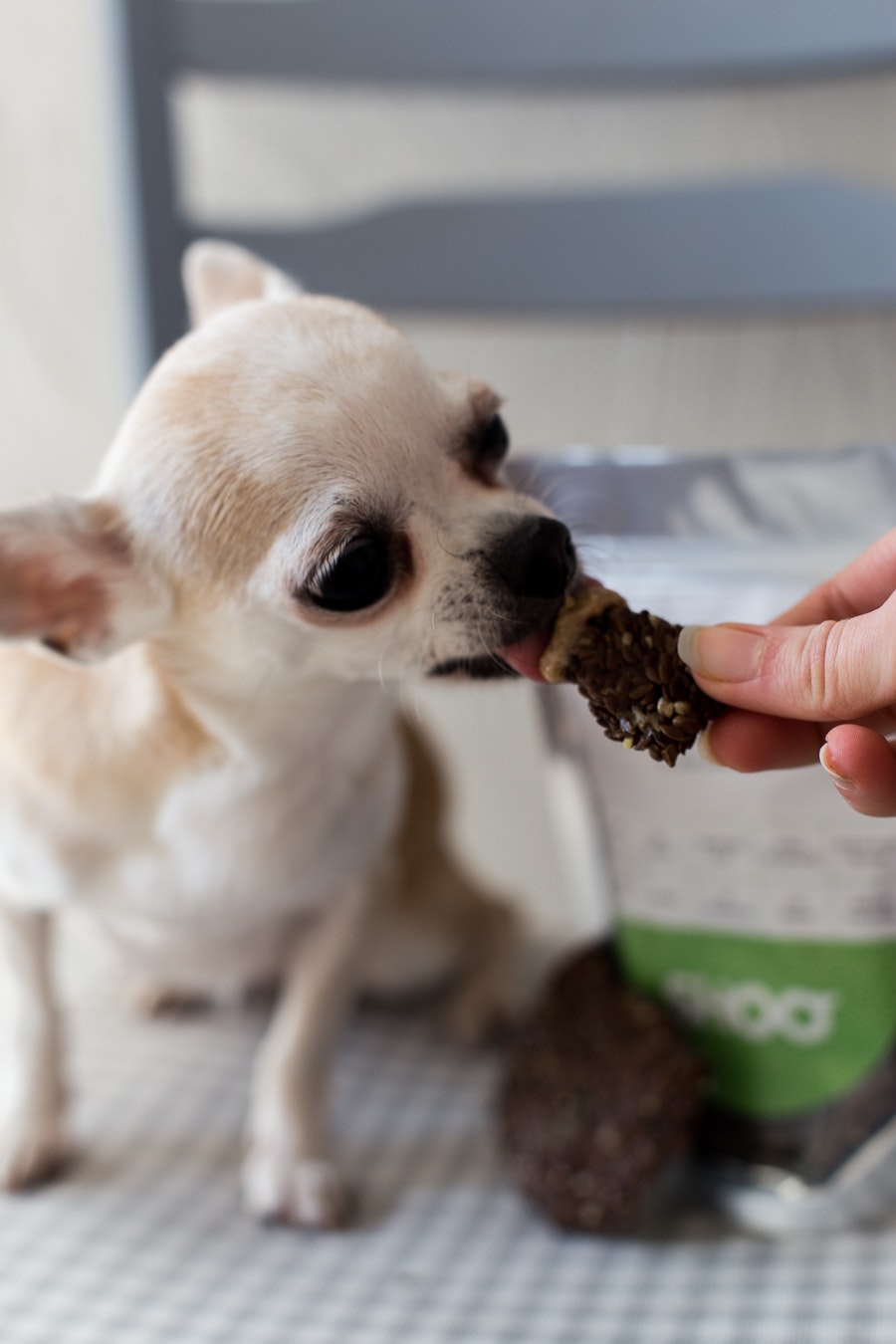 KETO DOG TREAT gallery image