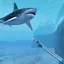 Sharks VR