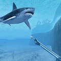 Sharks VR