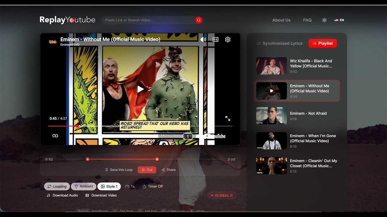 ReplayYouTube gallery image