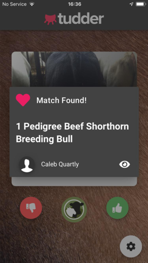 Tudder gallery image