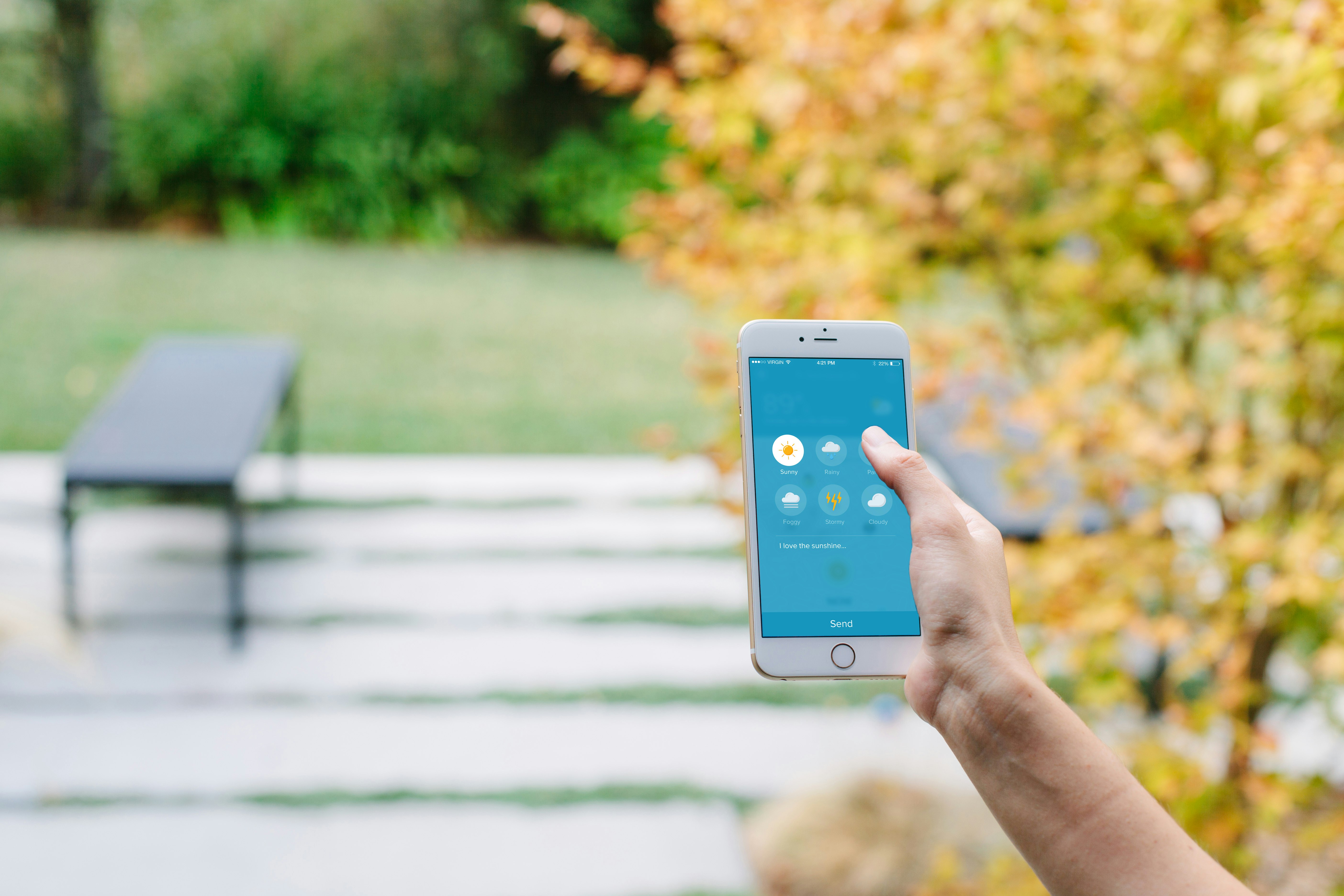 Sunshine gallery image