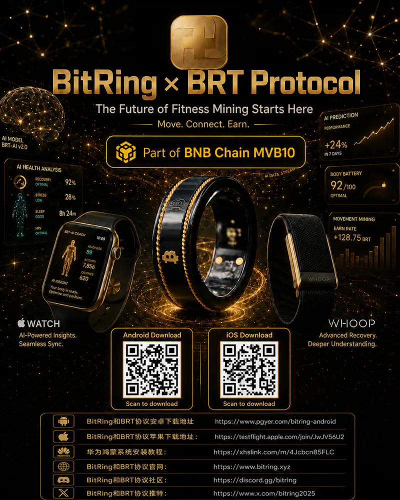 BRT screenshot 3