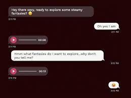 Bloom Chat media 2