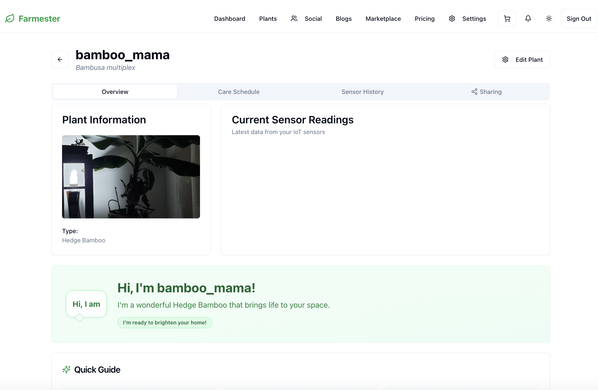 Média Farmester - AI-Powered Plant Care for Everyone 6
