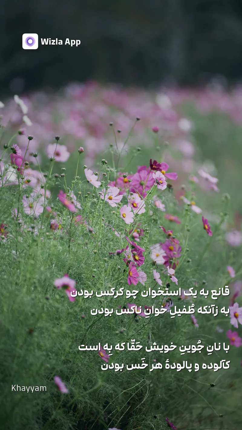 Wizla screenshot 3