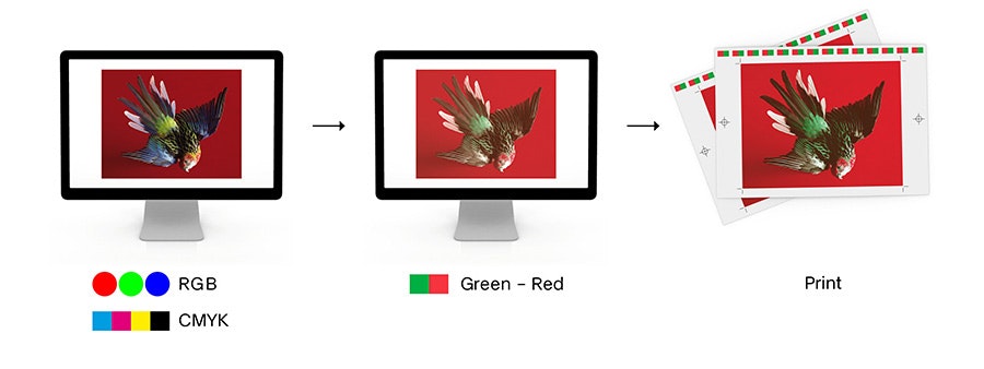 Color Library gallery image