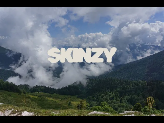 UseSkinzy gallery image