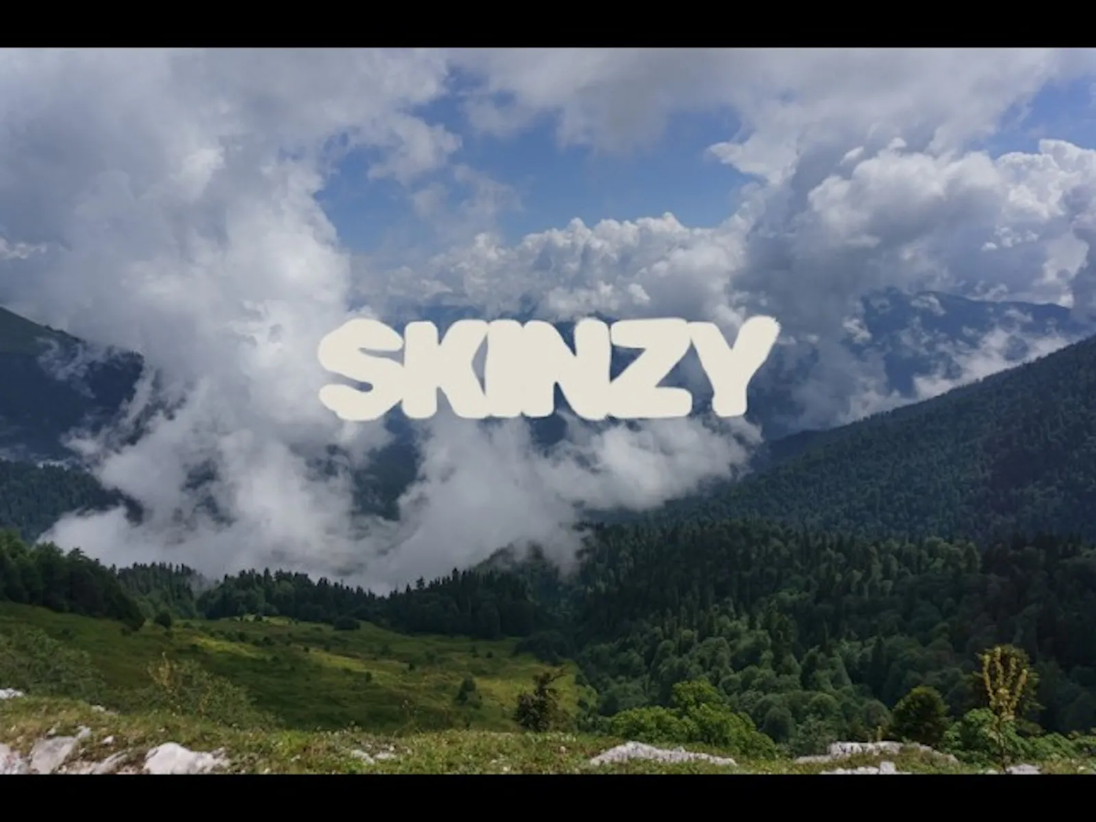 UseSkinzy screenshot 1 (video preview)