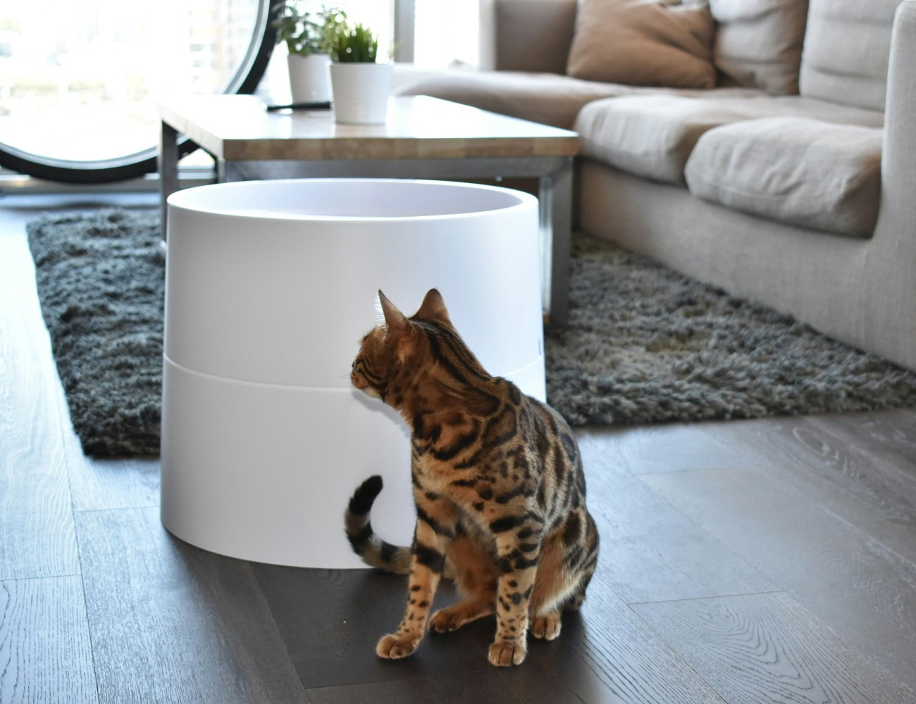 Boxscoop 2.0 gallery image