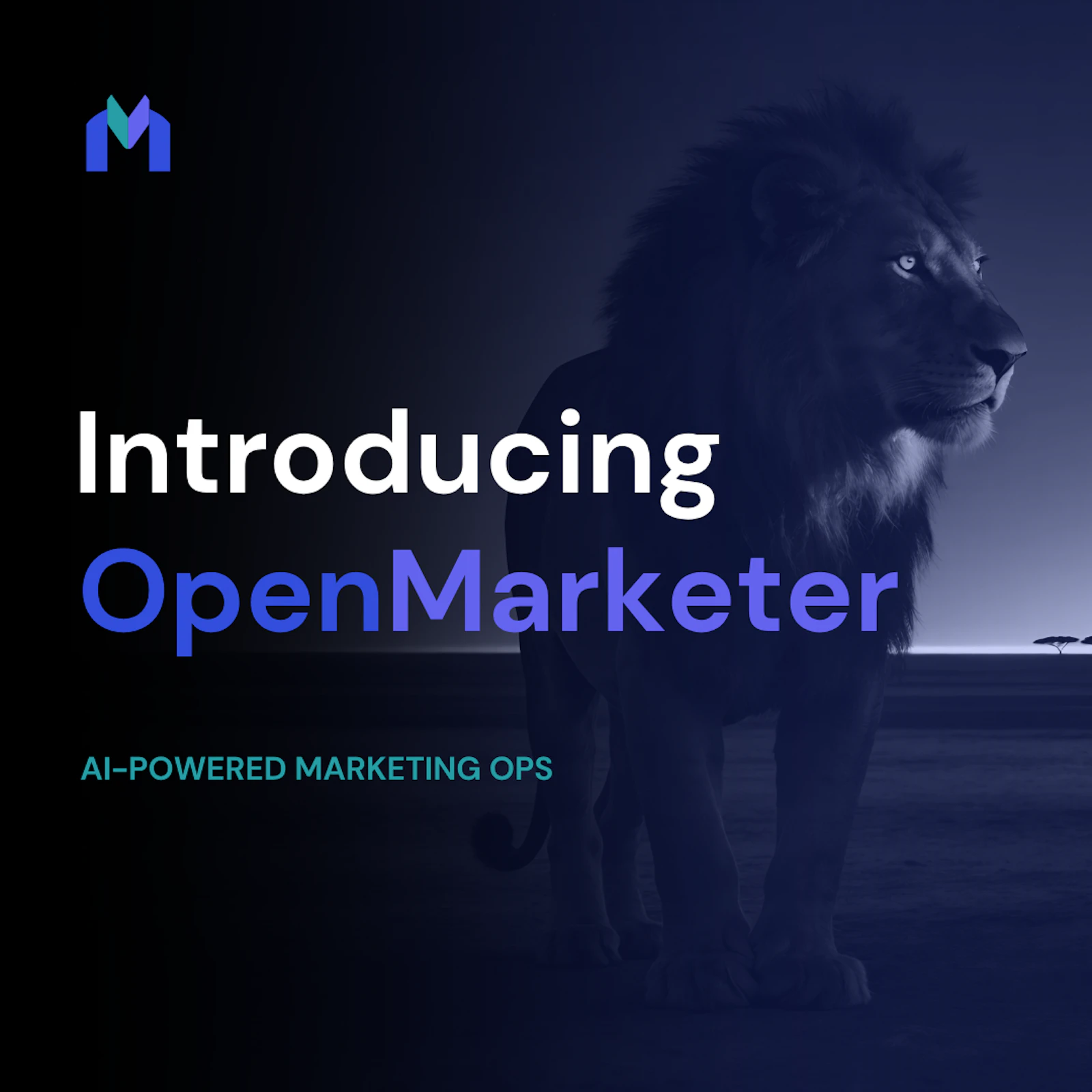 OpenMarketer screenshot 1