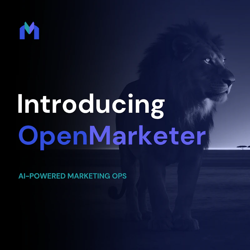 OpenMarketer screenshot 1
