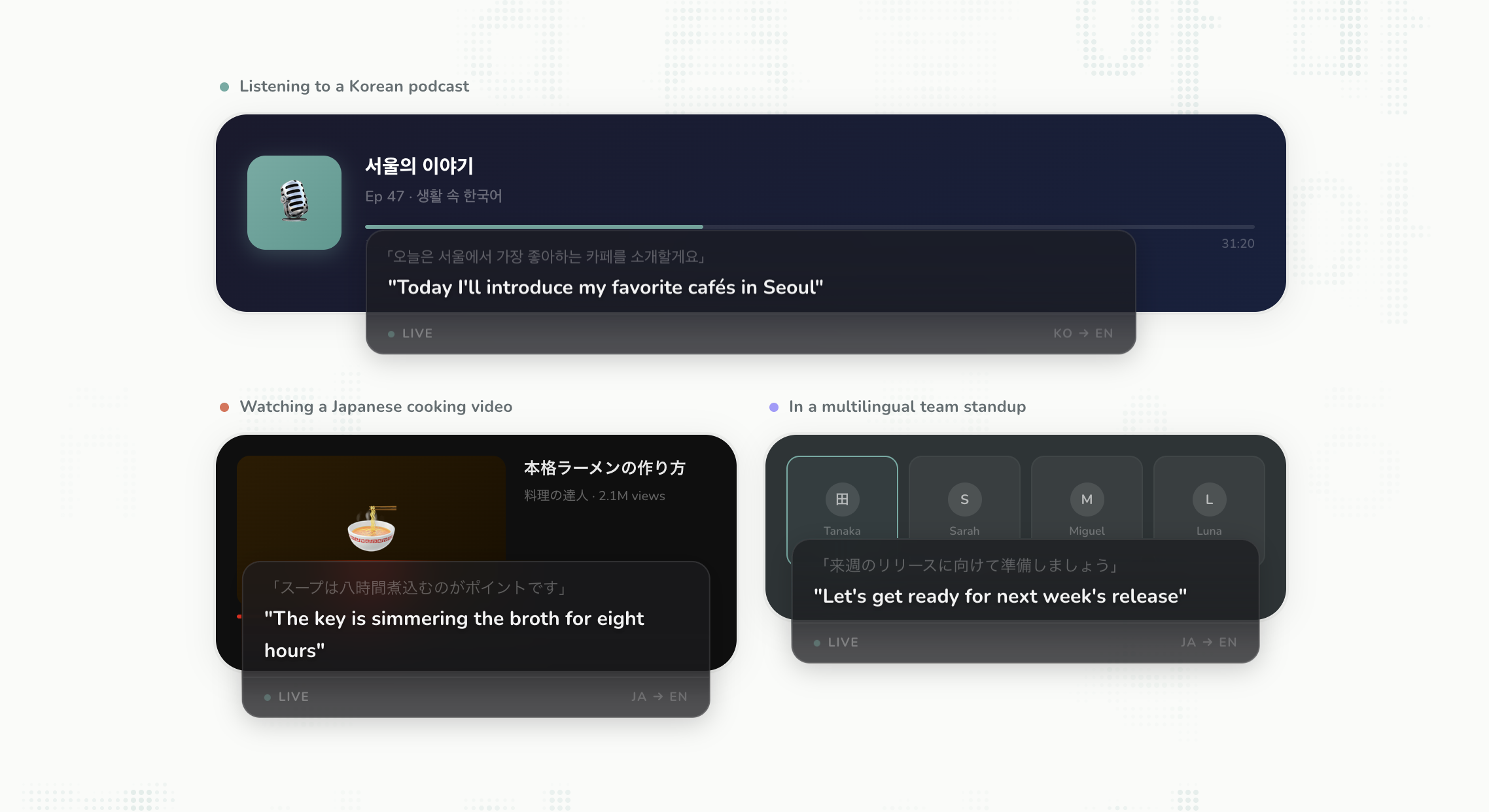 Seagull - Main product screenshot demonstrating key features and user interface