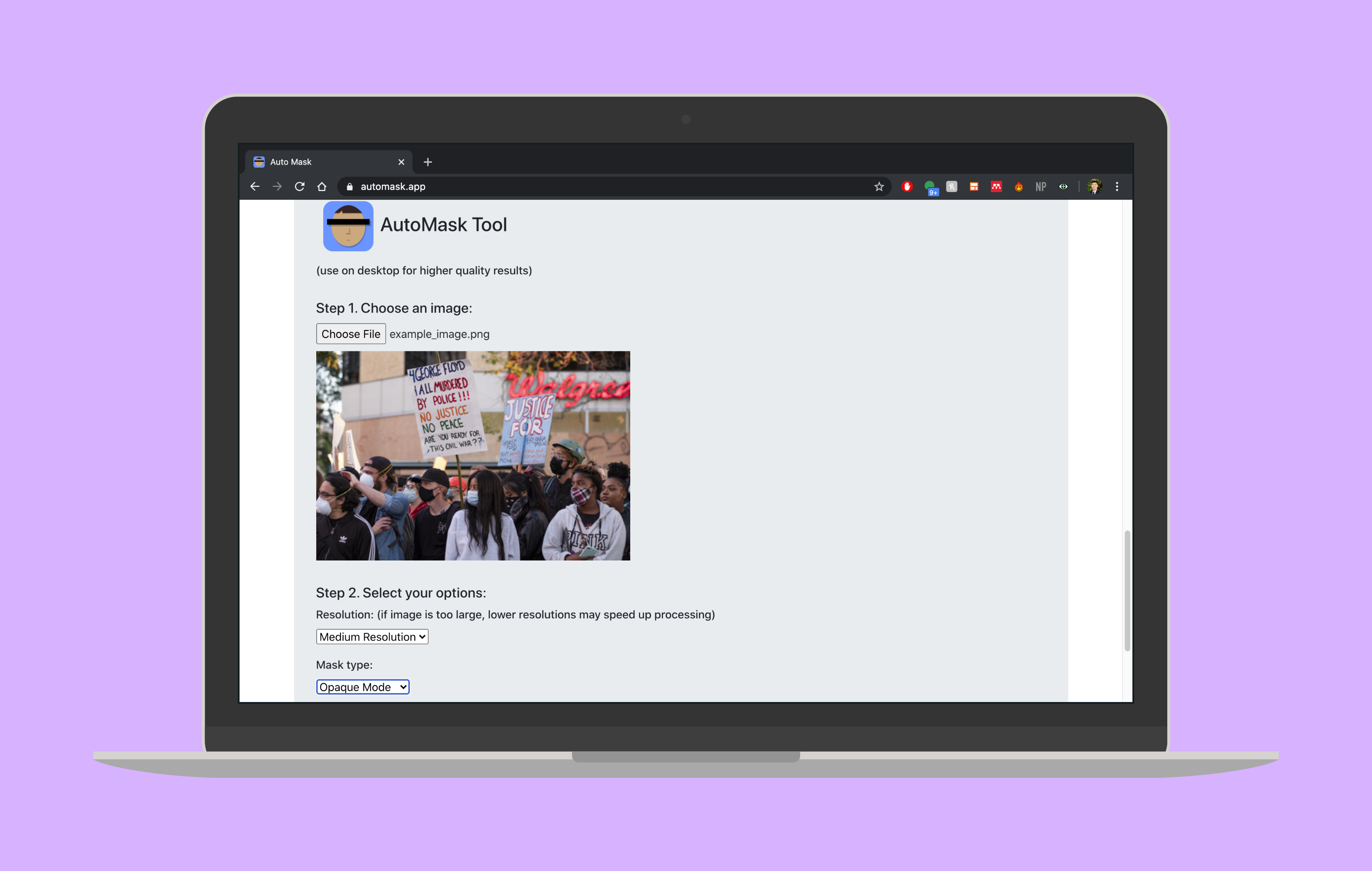 AutoMask gallery image