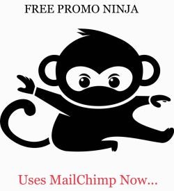 Free Promo Ninja gallery image