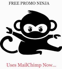 Free Promo Ninja gallery image