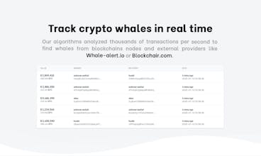 ClankApp V2 - Track crypto whales! gallery image