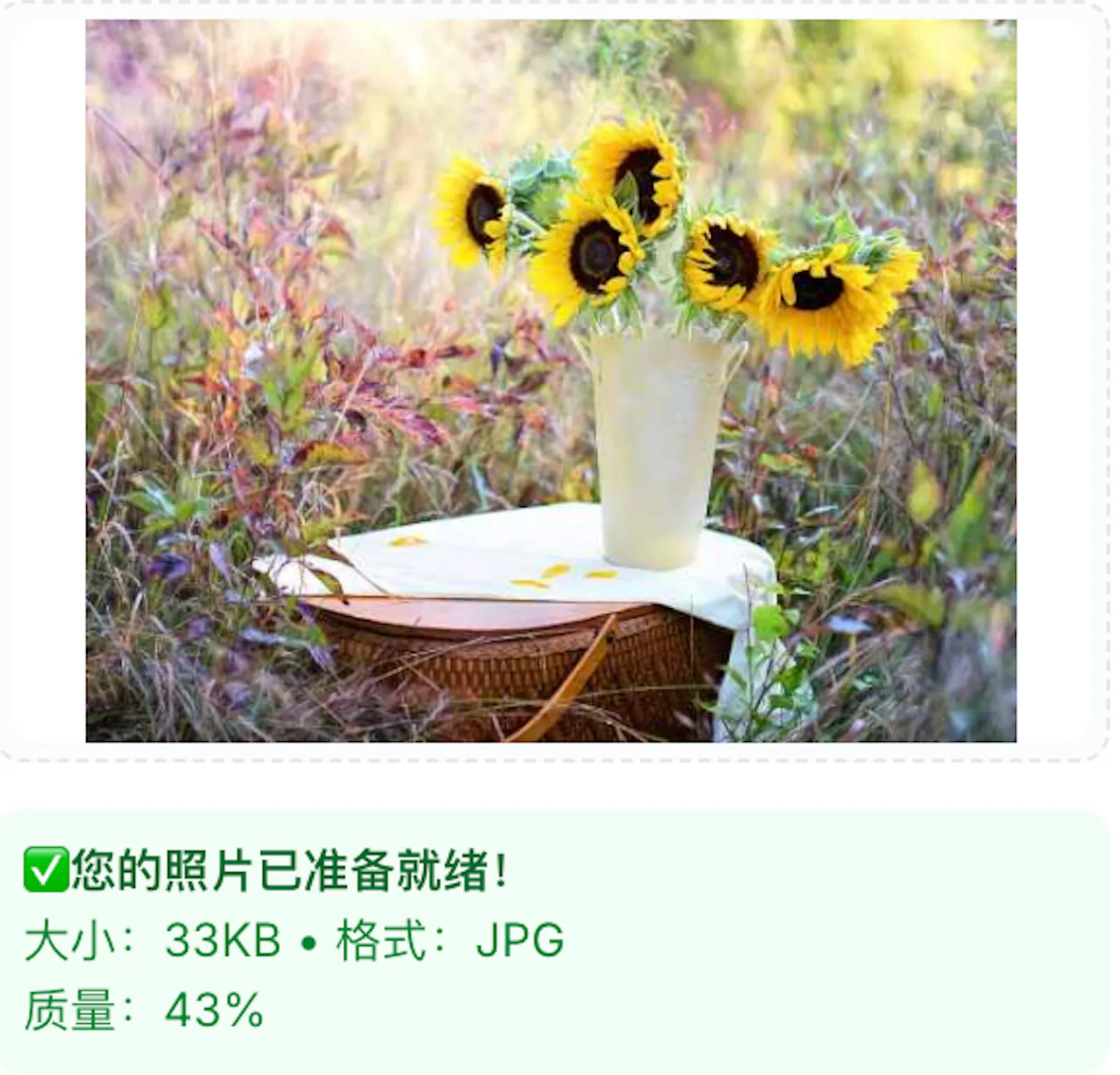 UPSSSC Photo Resizer screenshot 3