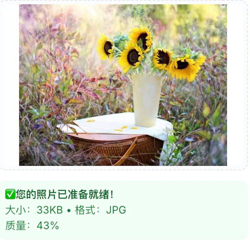 UPSSSC Photo Resizer screenshot 3